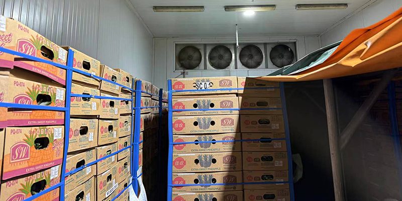 Chiller Room(-10~10C)