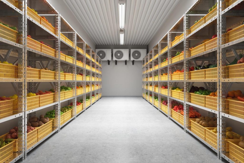 Chiller room interior with organized shelving for fresh fruit and vegetable storage at 0°C to 10°C