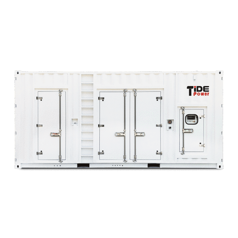 Customised Container Diesel Generator Set