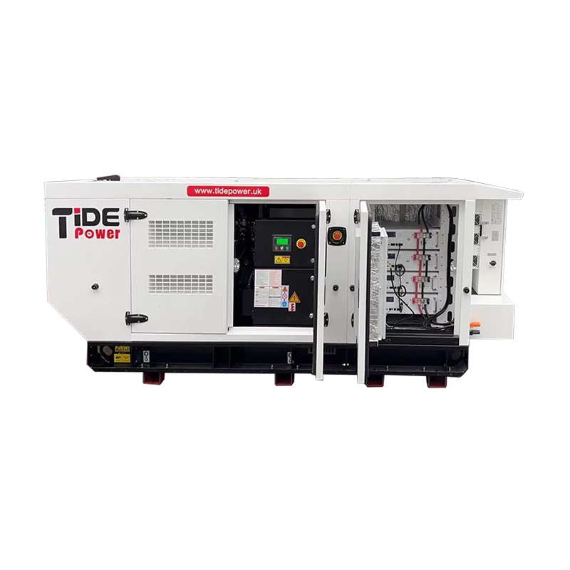 All-in-One Series Hybrid Power Station-TP50P-4