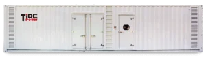 Customised Container Diesel Generator Set High Horsepower