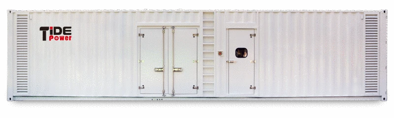 Customised Container Diesel Generator Set High Horsepower
