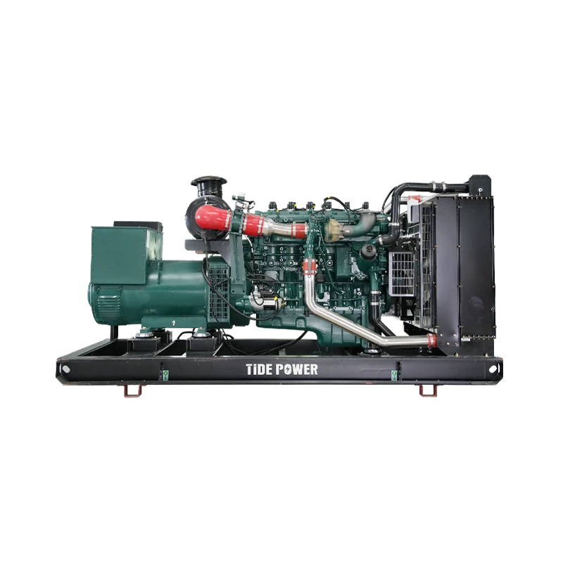 Gas-Generator-Set-powered-by-Lister Petter-004