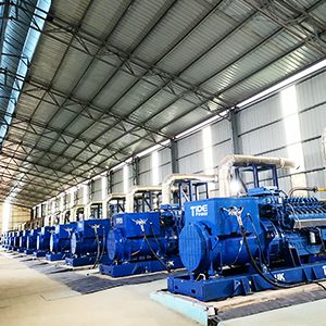 Natural Gas Power Plant