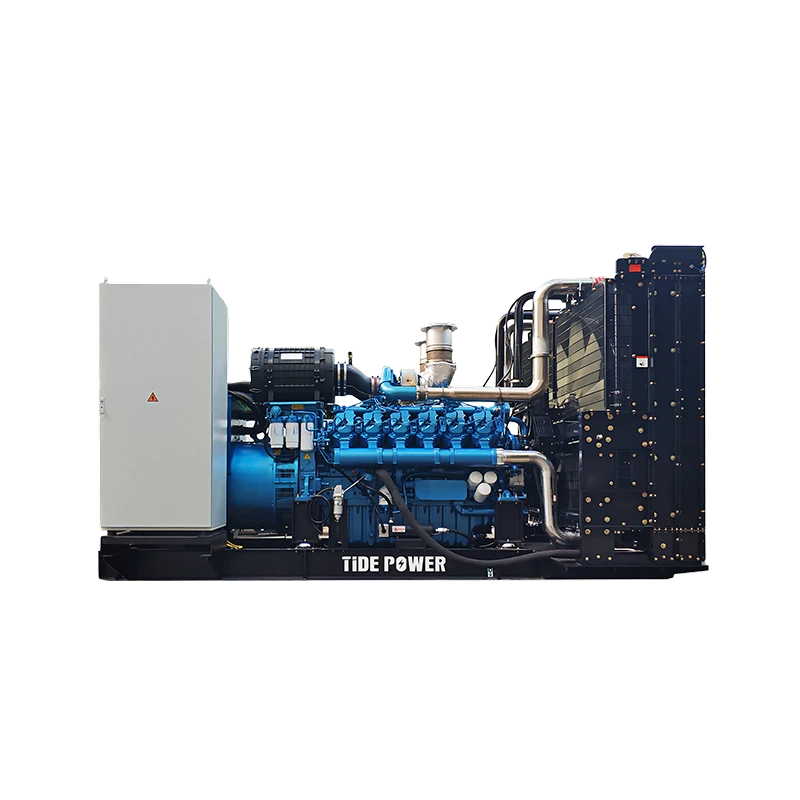 Open Type Diesel Genset Powered by Baudouin 002