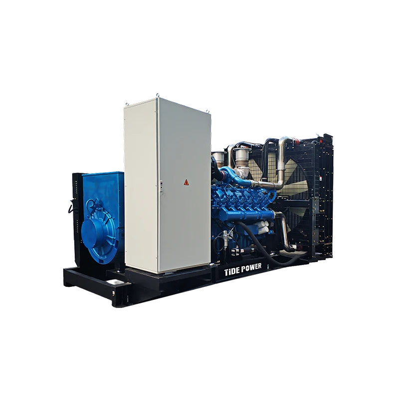 Open Type Diesel Genset Powered by Baudouin 003