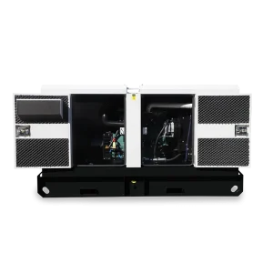 Silent-Diesel-Generator-Set-P Series3