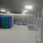 blast freezer room 01