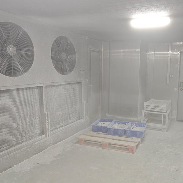 blast freezer room 03