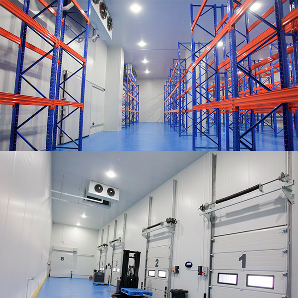 freezer room 02